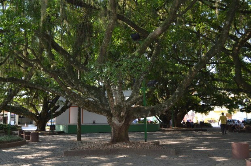 Vale a Pena Morar em Camboriú?